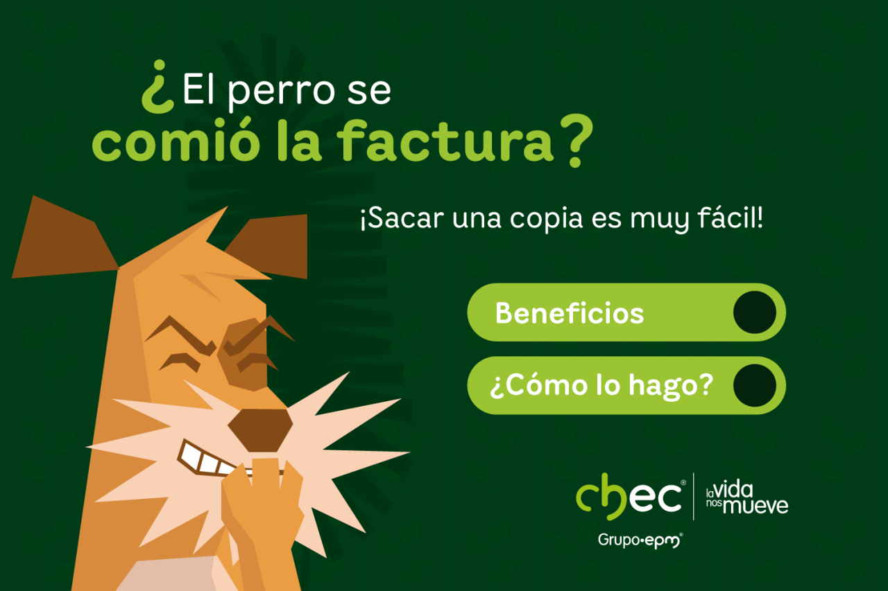 Soluciones digitales 2
